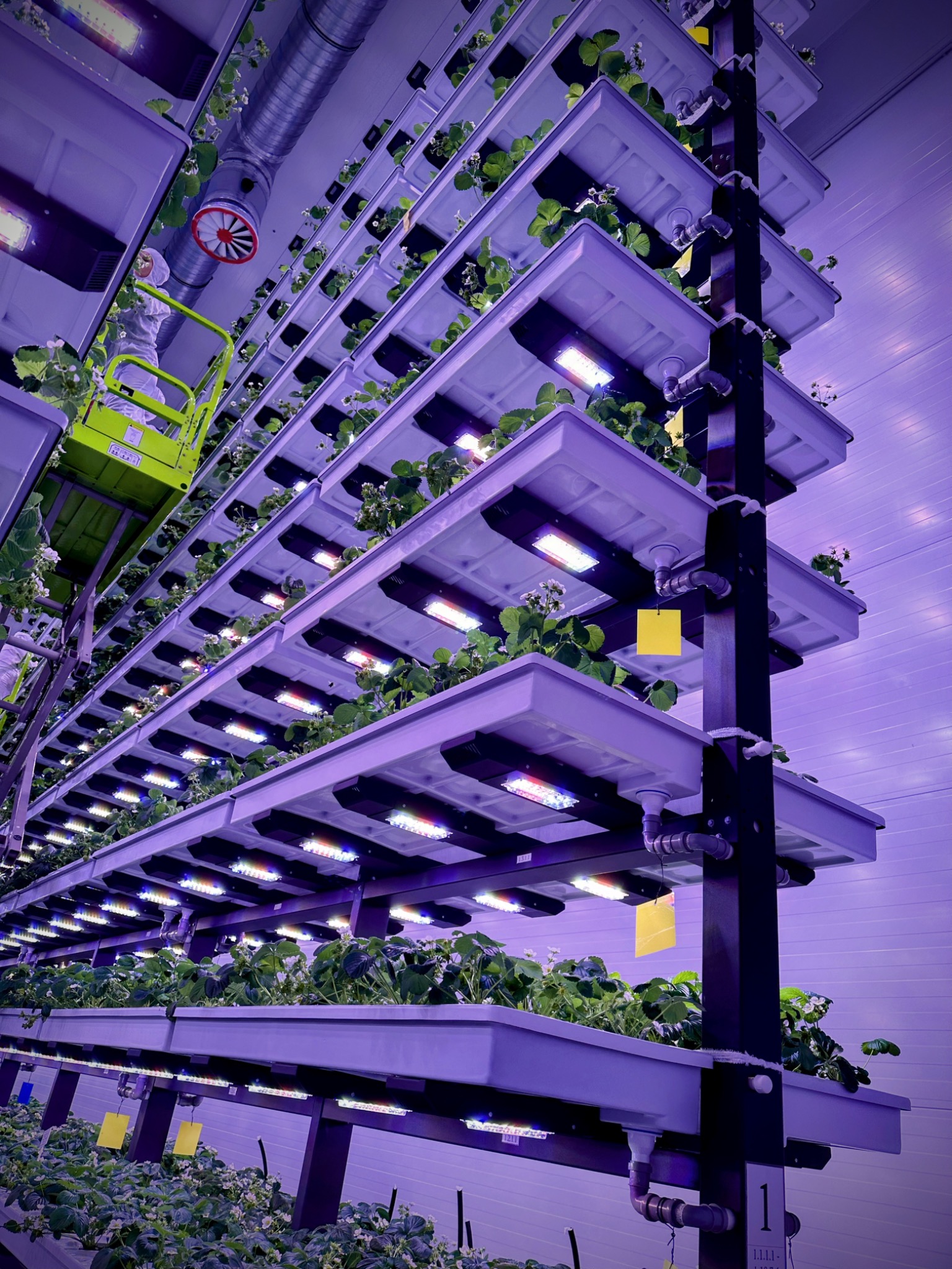 Multi-tier industrial farm by Agricultural Technologies