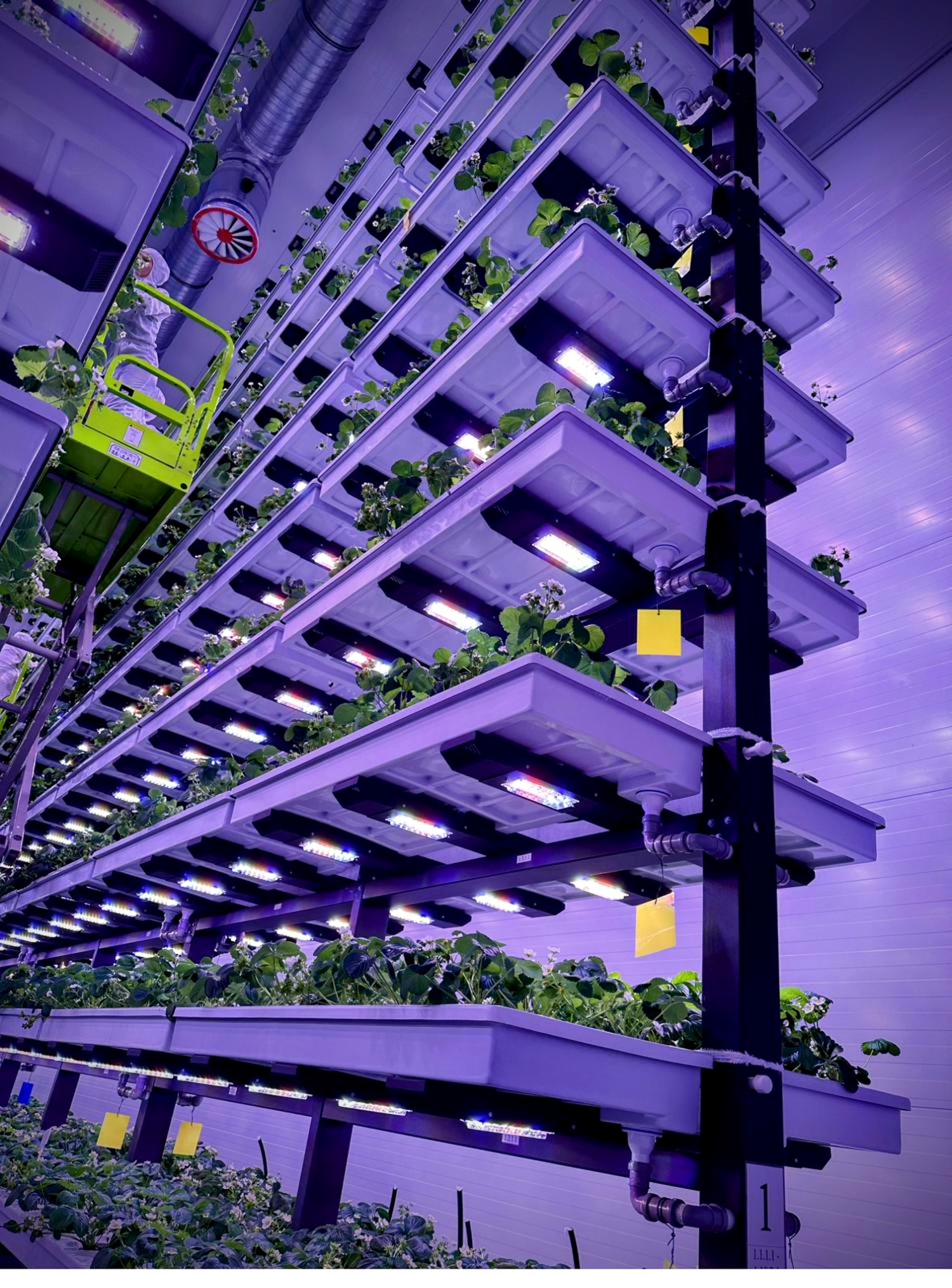 Multi-tier growing modules inside an Agricultural Technologies facility