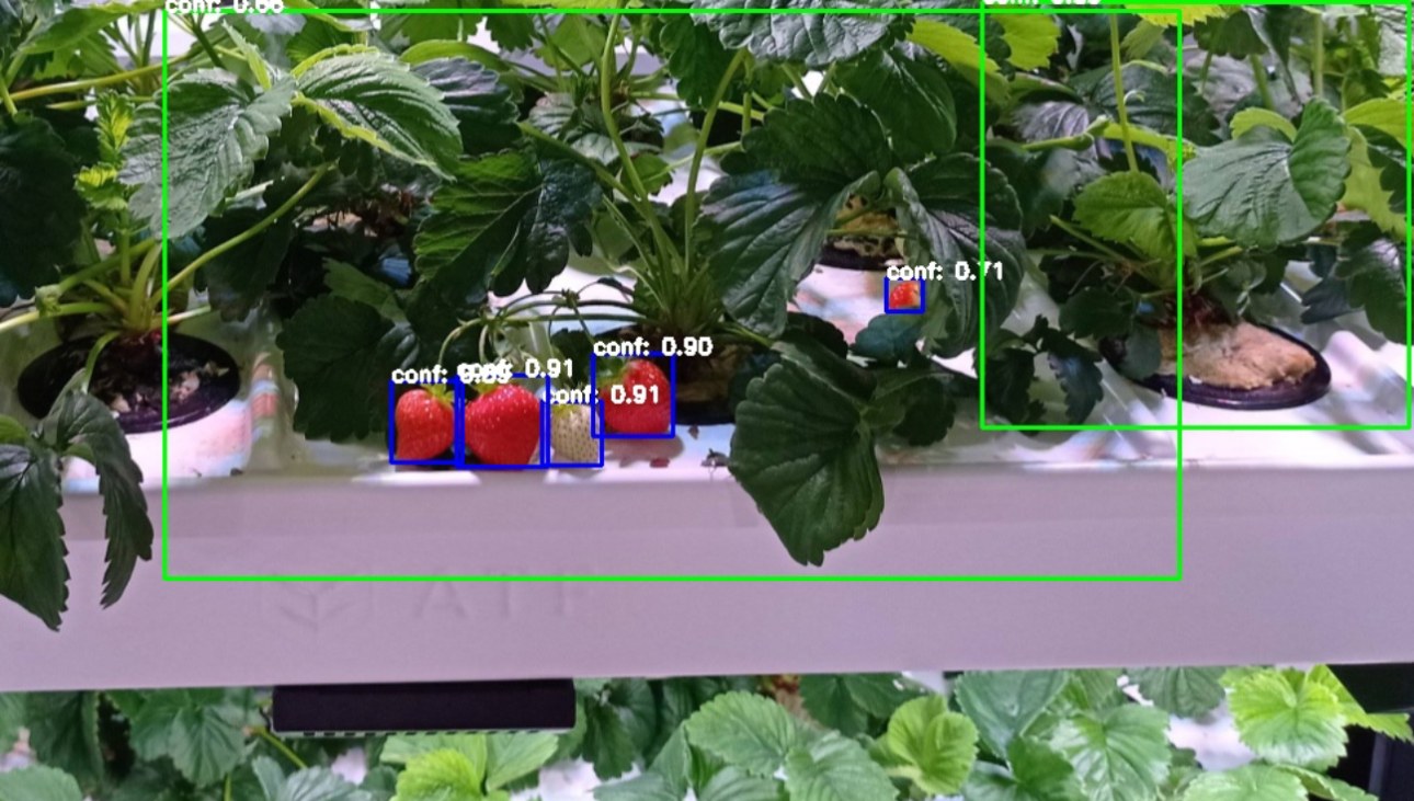 AI-based berry recognition and digital quality control